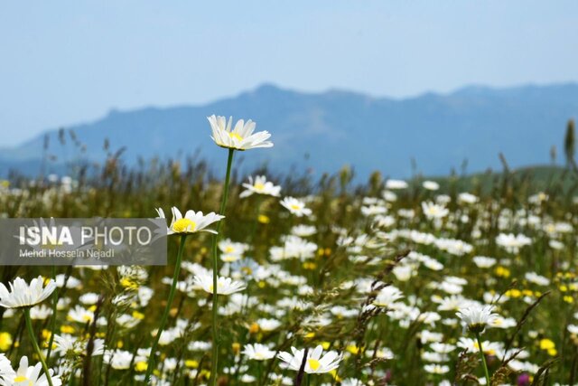 سفر به قله آسمان سرای رودبار + تصاویر